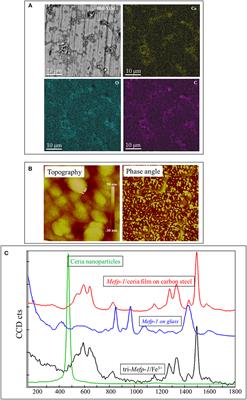 Recent Development of Corrosion Protection Strategy Based on Mussel Adhesive Protein